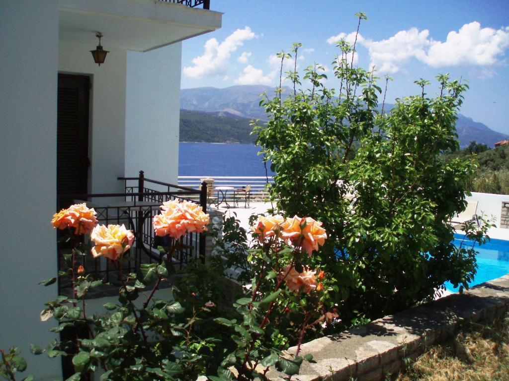 Scorpios Hotel & Suites Samos Town Room photo