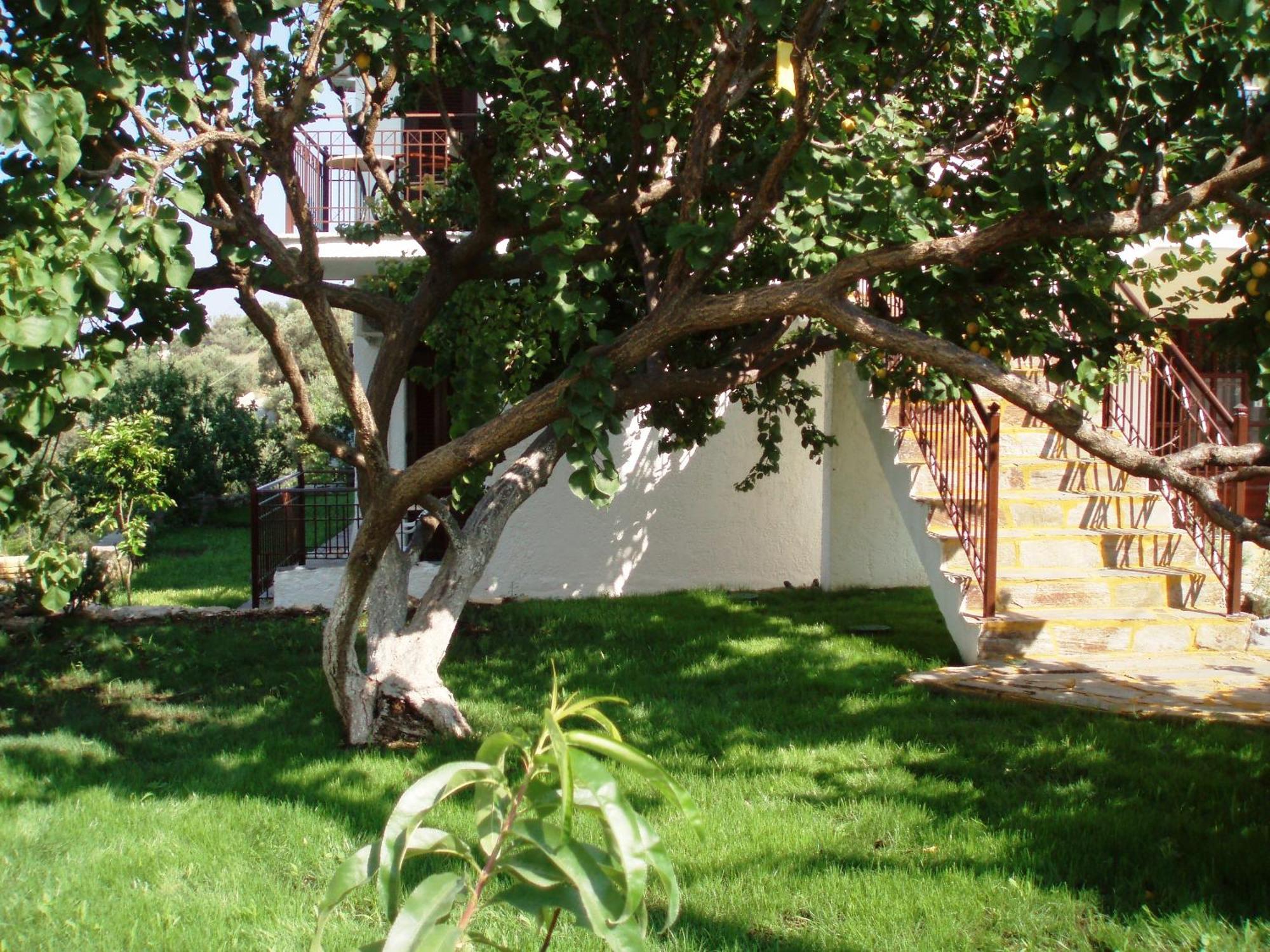 Scorpios Hotel & Suites Samos Town Exterior photo